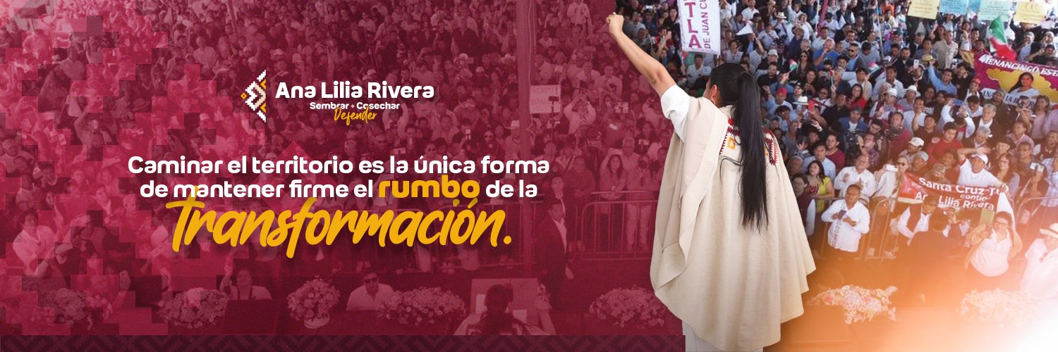 Ana Lilia Rivera ✨'s banner