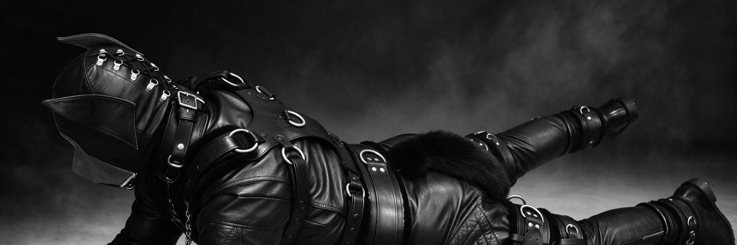 skyboy4565's banner