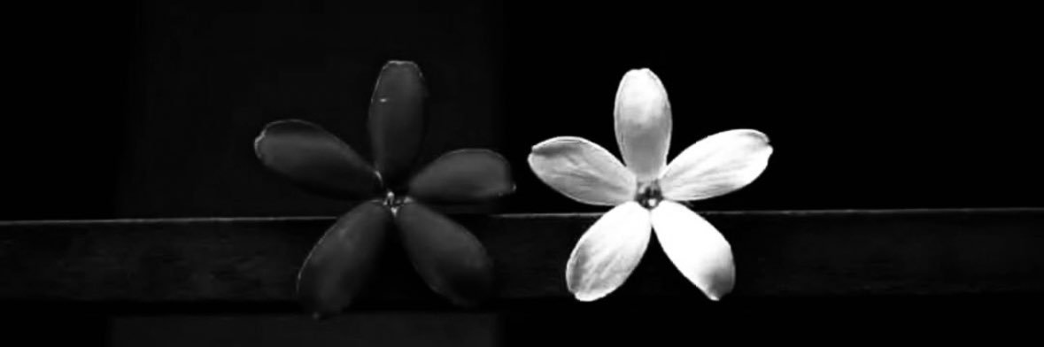 بــلسم 🕊's banner