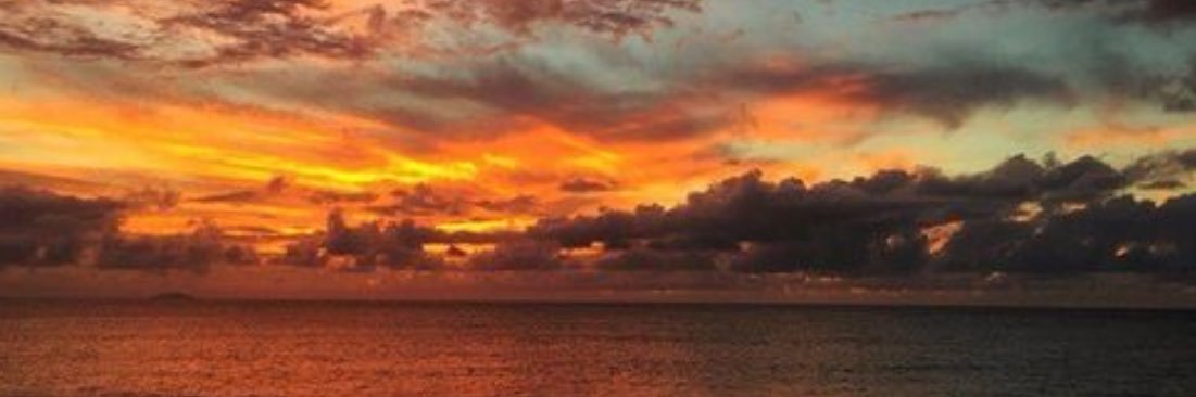 🌸 Angelica🌸's banner