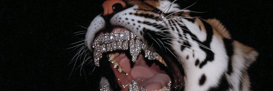 ☽ Rese .'s banner
