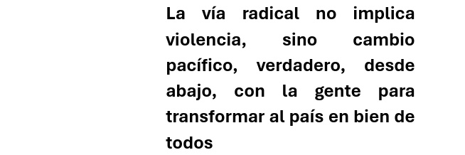 Alberto Ruiz Orcí's banner