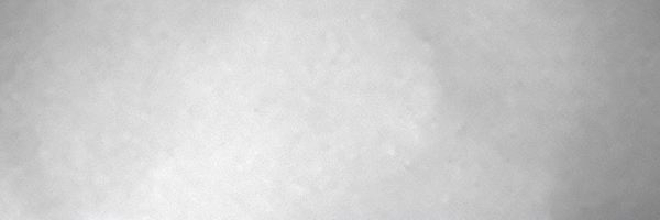 L's banner