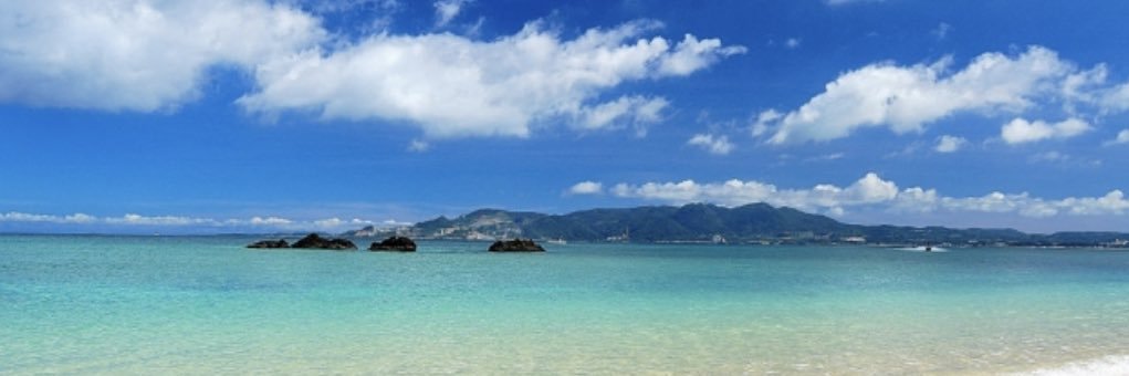 ののか🐳🫧's banner