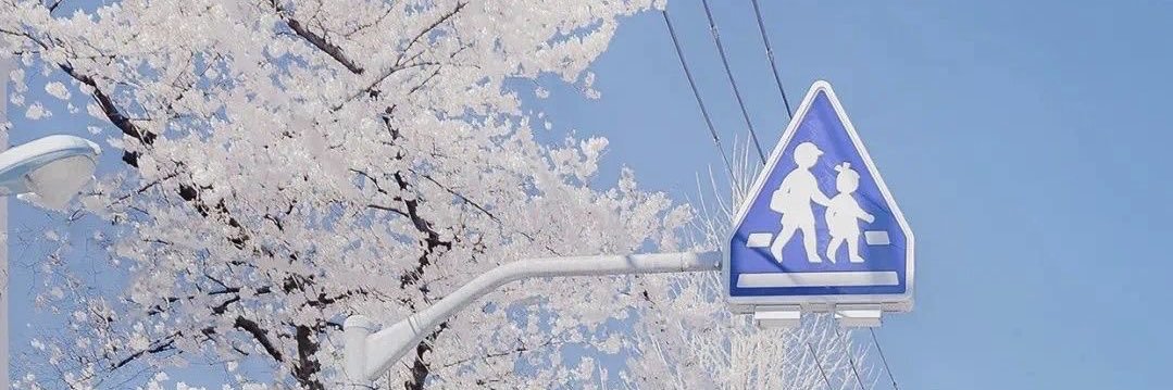 米糖's banner