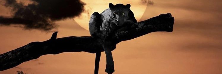 Malachi HollyWood Thomas's banner