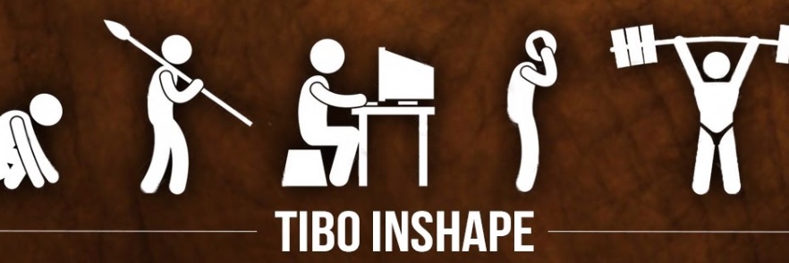 Tibo InShape's banner