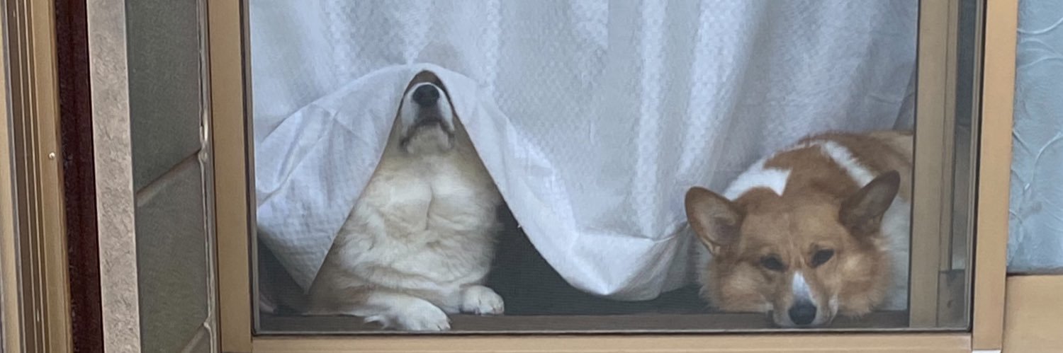ももいろだいふく's banner