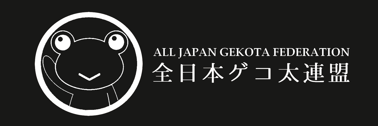 みーさか@とあるIF⚡✨️🐸's banner