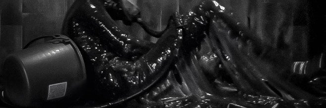 RubberDroid's banner