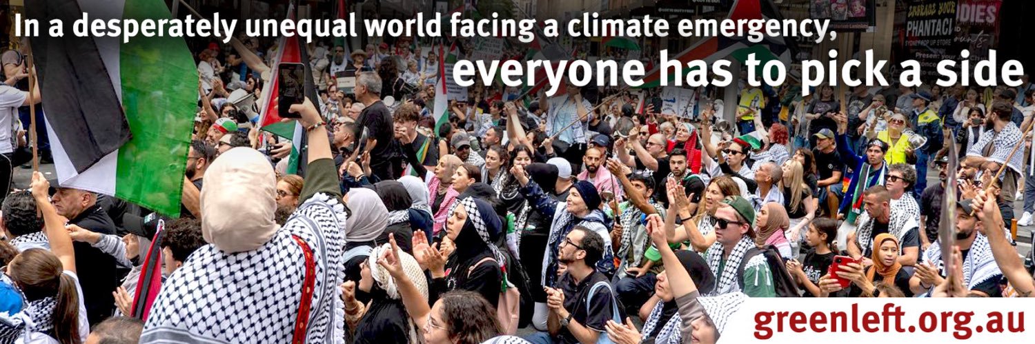 Green Left's banner