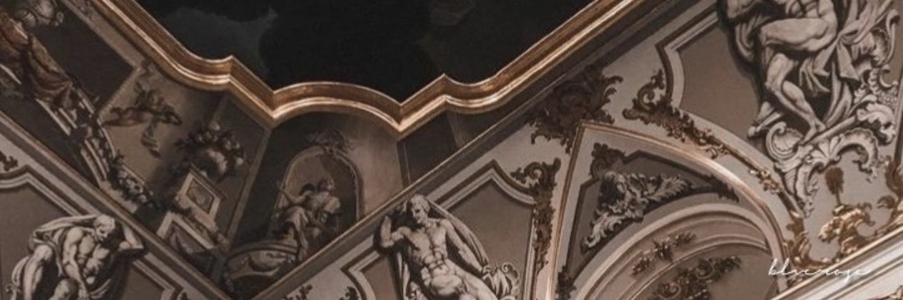 lou | 로 | T&C in bio's banner