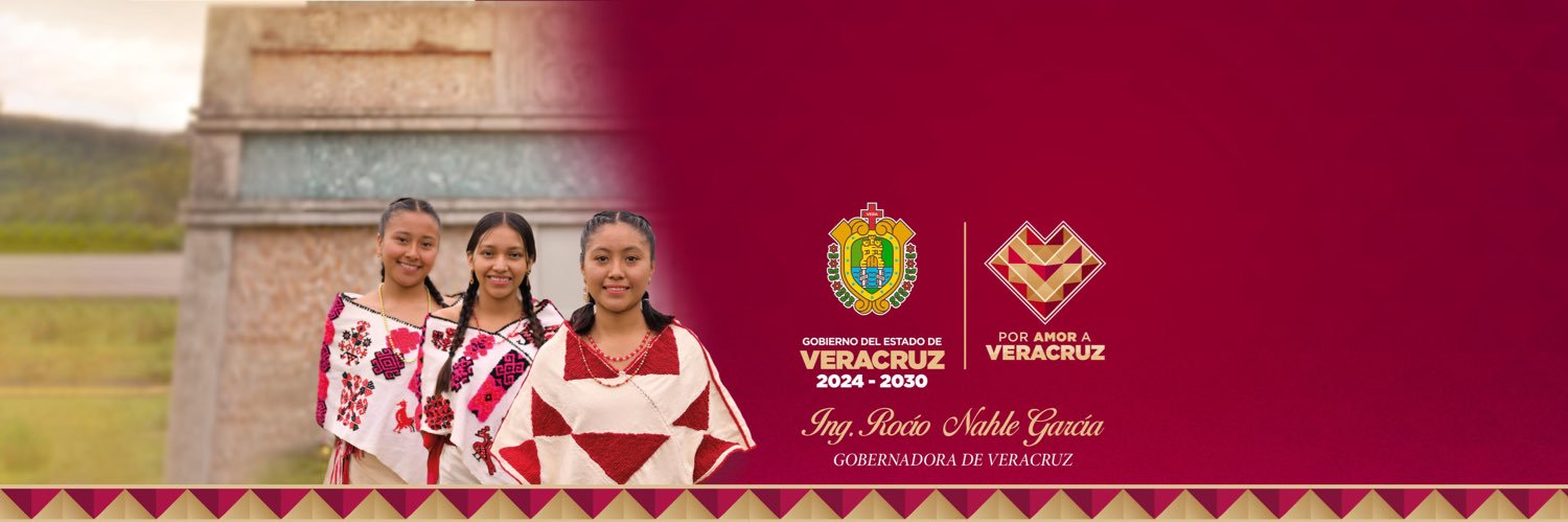 Rocío Nahle's banner