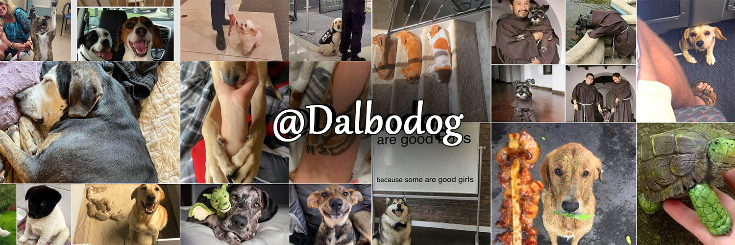 The Dalbo Dog's banner