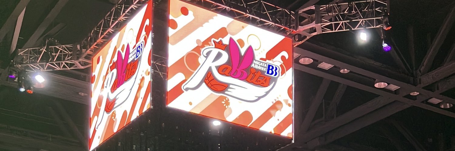 新潟アルビレックスBBラビッツ's banner
