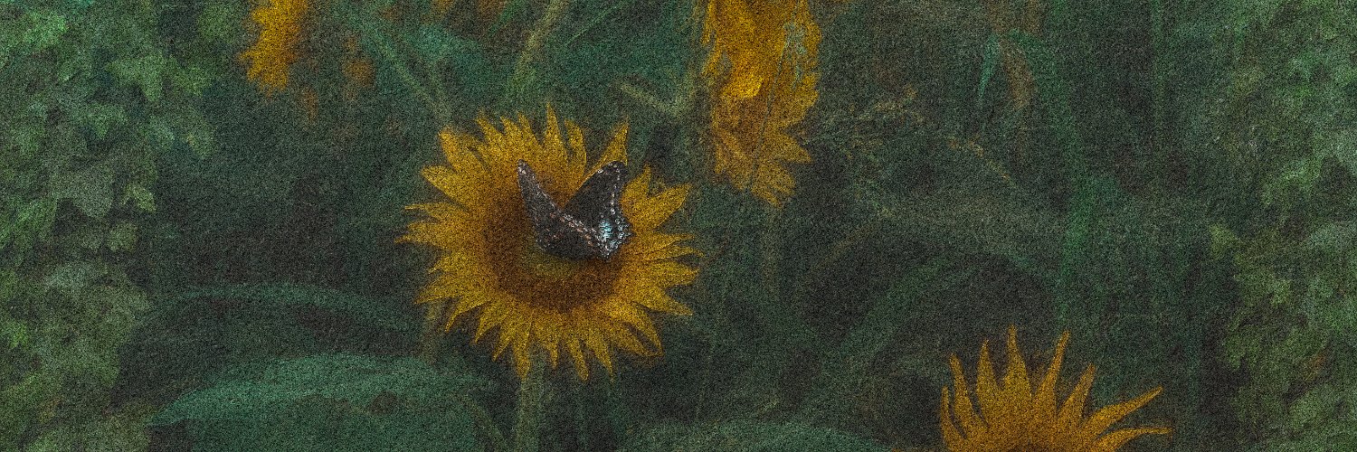 Tana Marie ✨'s banner