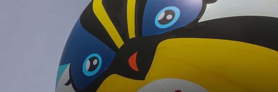 Ollagüe Crave's banner