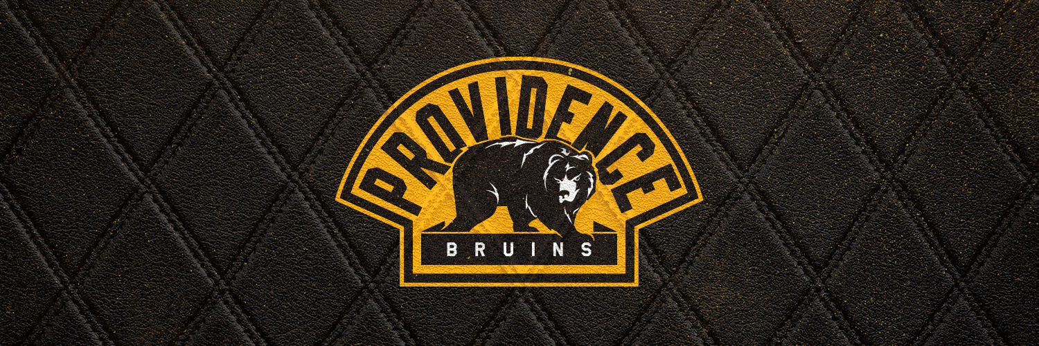 Providence Bruins's banner