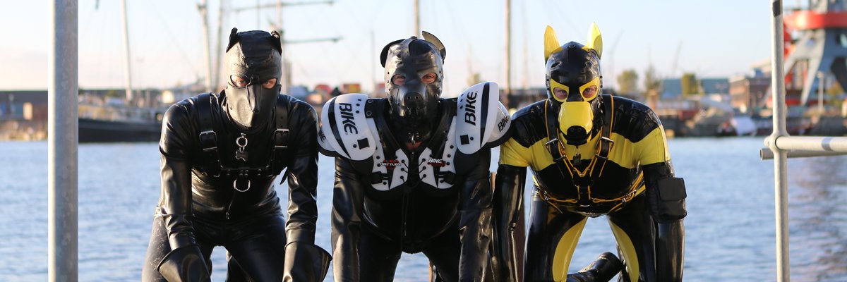 PupVito's banner