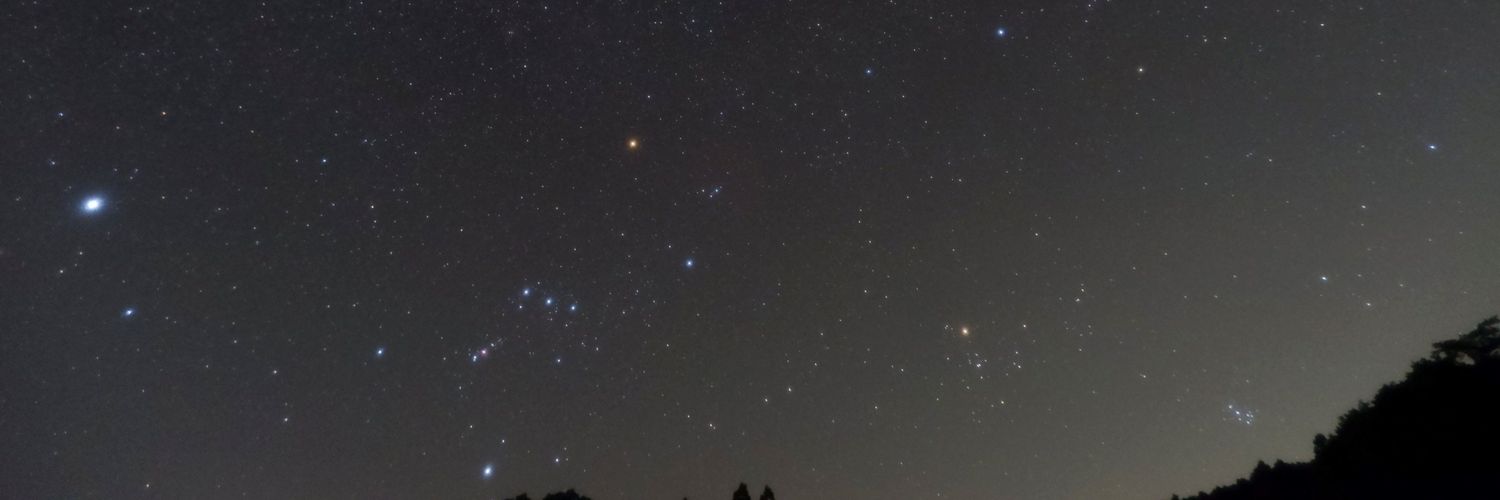 星見狸's banner