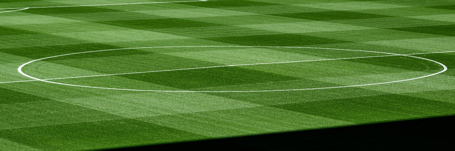 DFL Deutsche Fußball Liga's banner