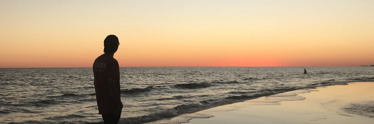 Will's banner