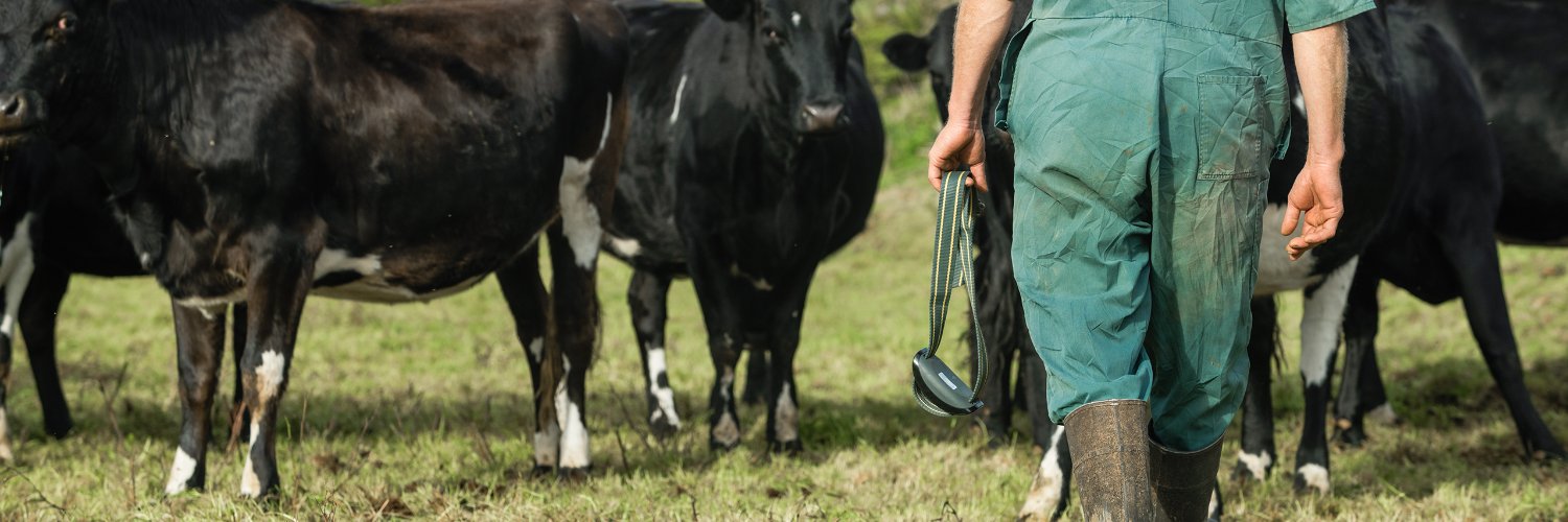 Waikato Milking Systems's banner