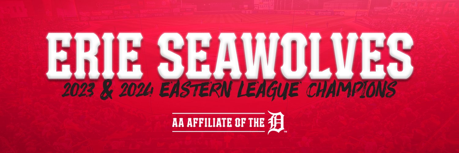 Erie SeaWolves's banner