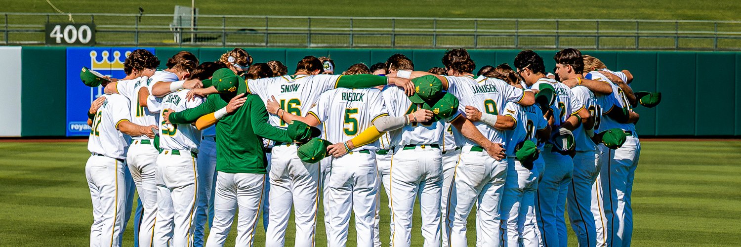Baylor Baseball's banner