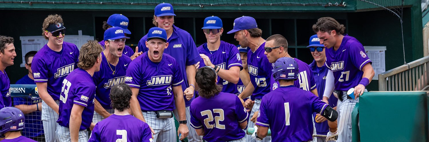 JMU Baseball's banner