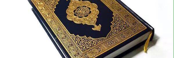 عيد الحمادي's banner