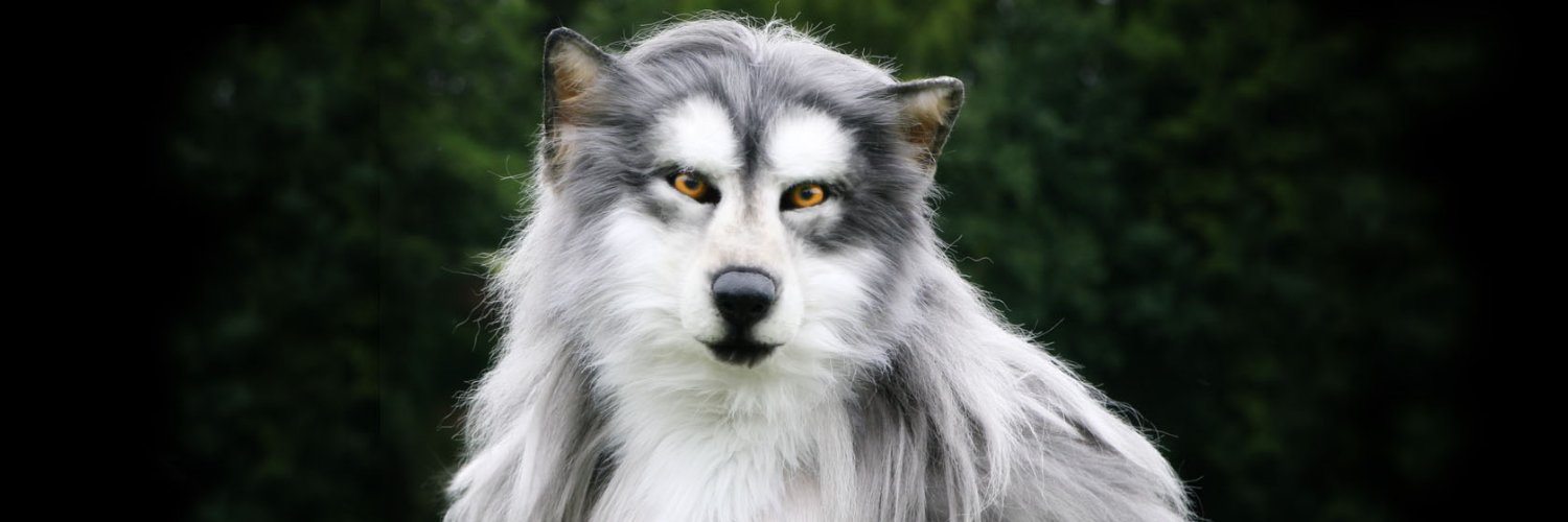 EZ Wolf's banner