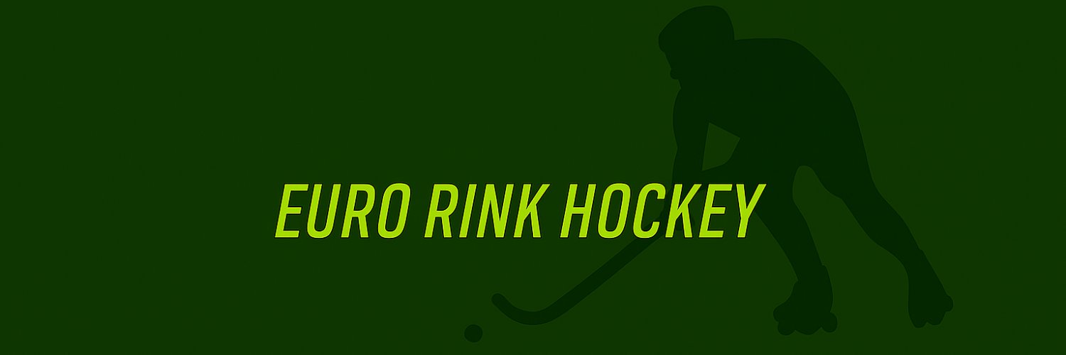 WSE Rink Hockey's banner