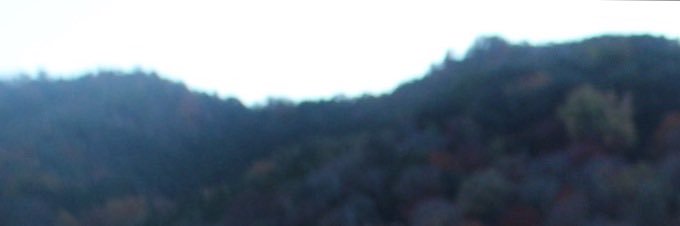 とらほたて's banner