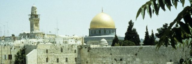 المستشار زيد الايوبي's banner