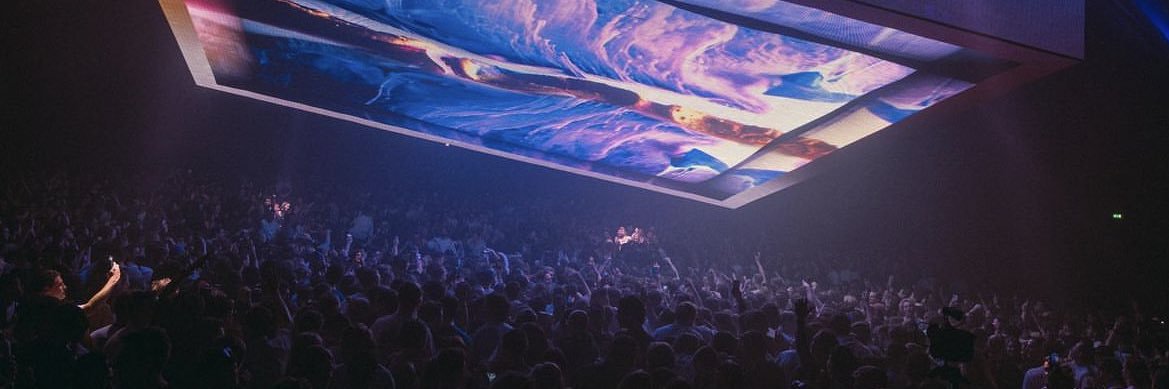 molly's banner
