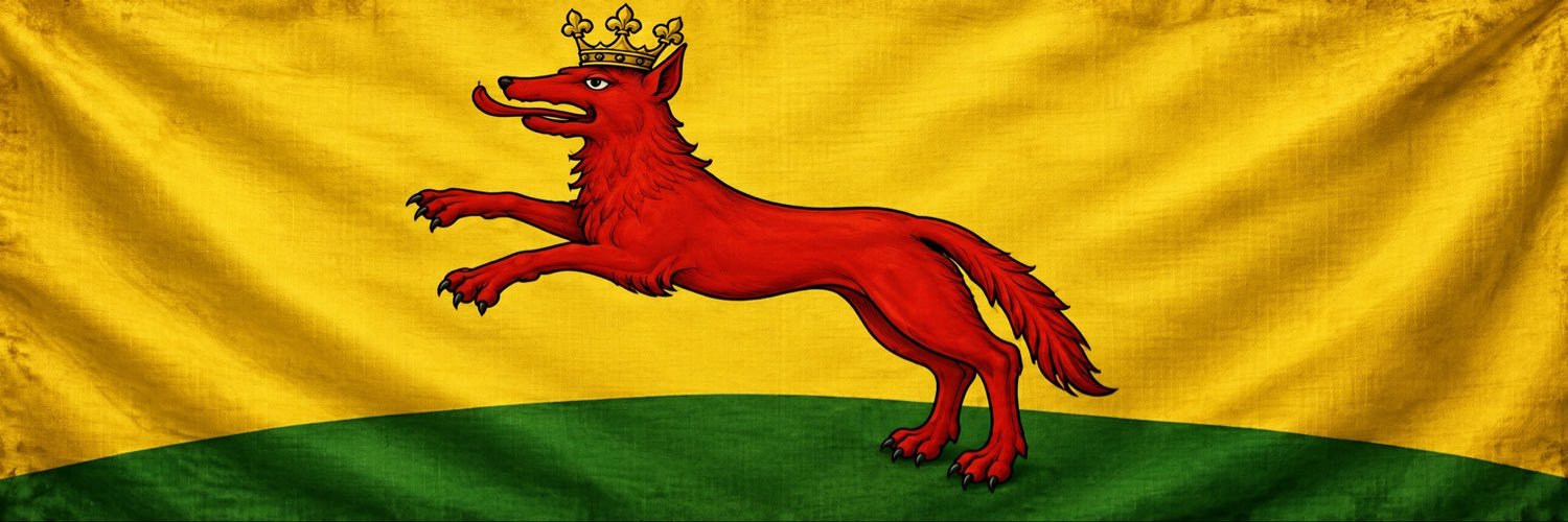 🐺HudsaidGo ✭🏁's banner