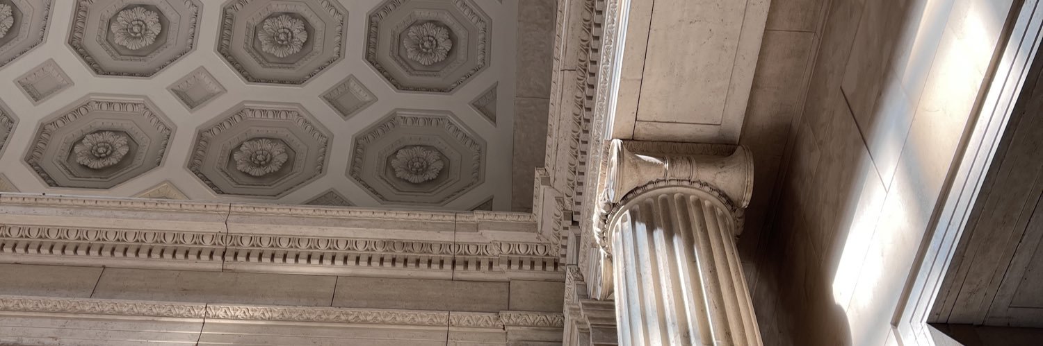 stella 🕊️'s banner
