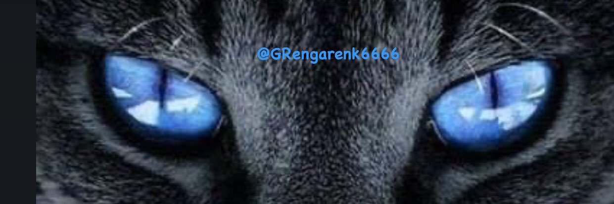 ❤️RENGARENK🇹🇷🇹🇷's banner