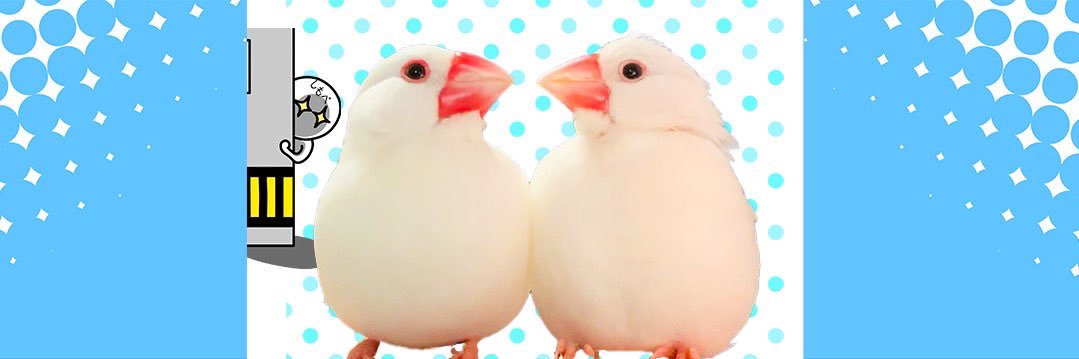 トリアタマ's banner