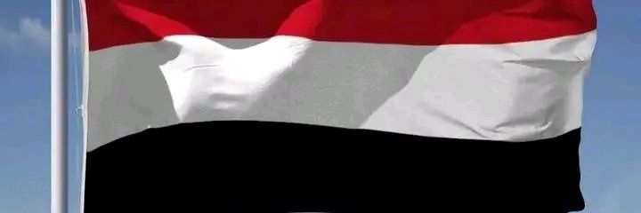 Sajedh's banner