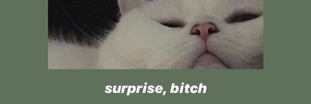ejatt🦖's banner