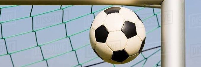 Dani futbol's banner