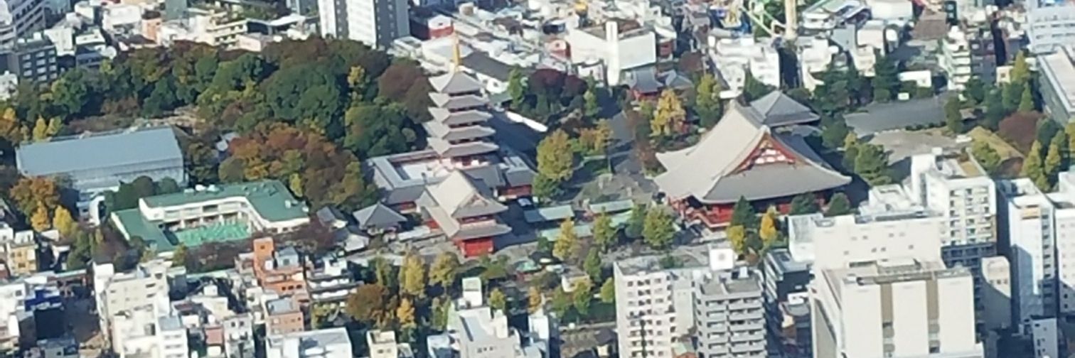 もりりん's banner