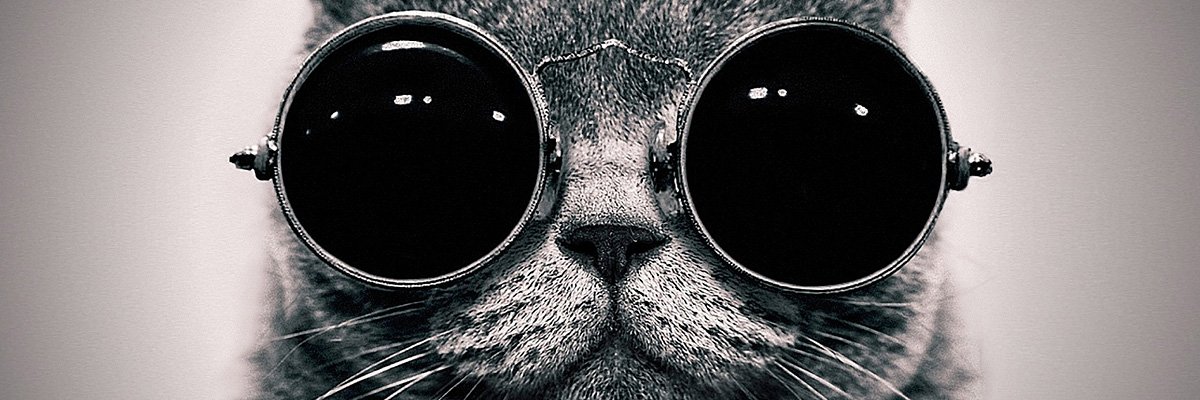 CoolCat's banner