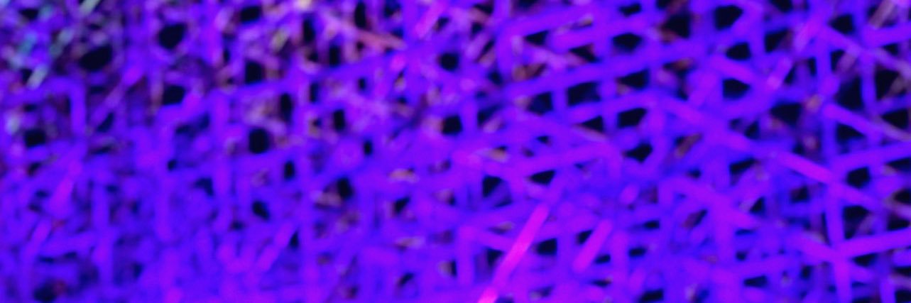 gabriel's banner