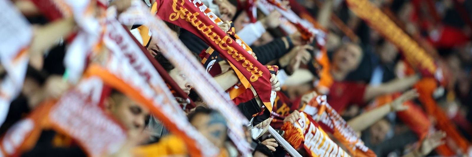 TorreiraKapo's banner