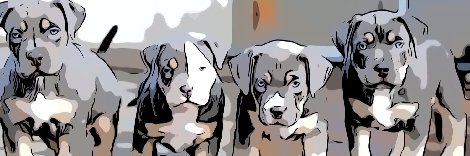nowthatsbully's banner
