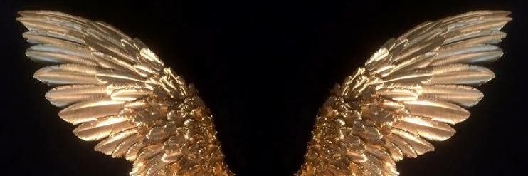 M. Özlem Uğur's banner