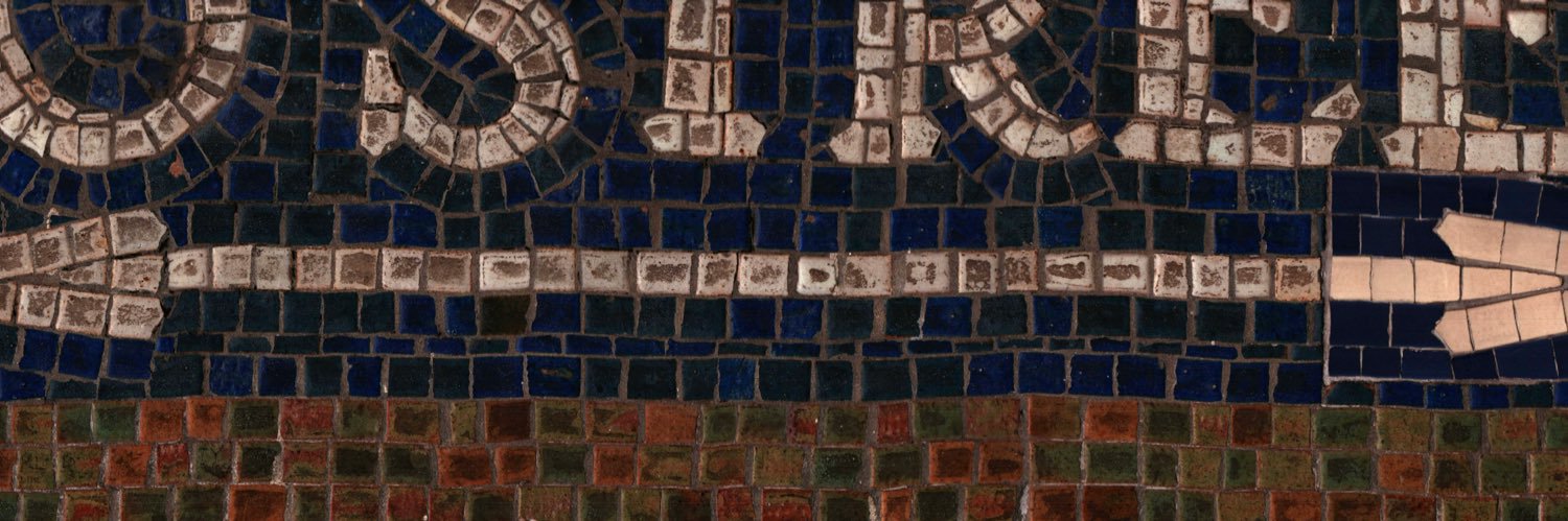 leslie's banner